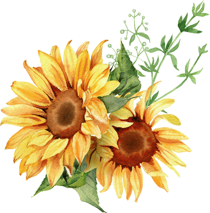 Watercolor sunflower arrangement